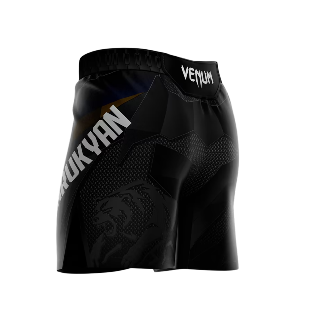 Arman Tsarukyan Shorts