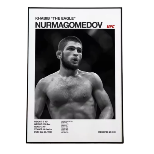 Khabib Nurmagomedov Poster