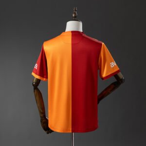 Galatasaray 2013/14 Local