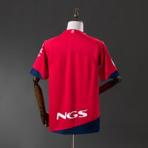 Osasuna 2011/12 Local